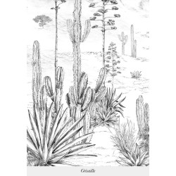 Papier peint Succulentes sur mesure ISIDORE LEROY