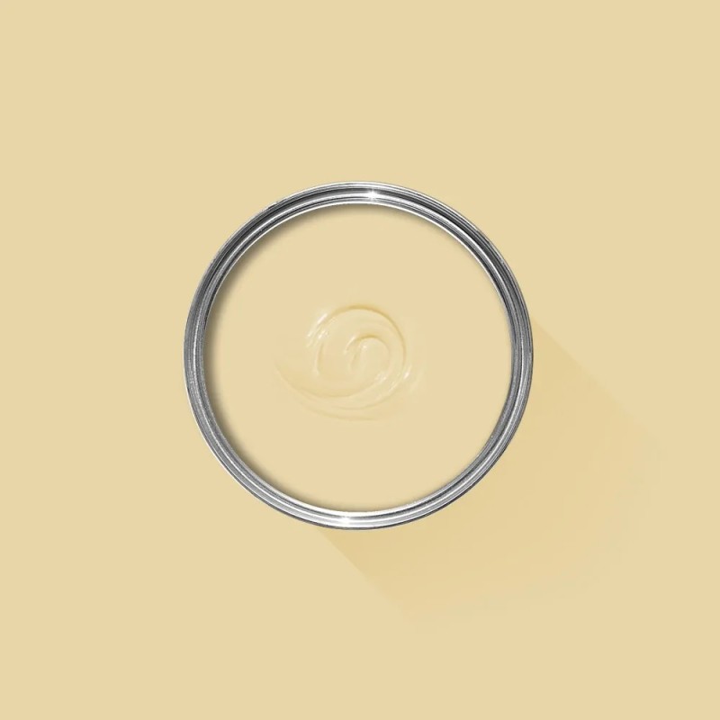 Paint Bombazine 9902 FARROW & BALL