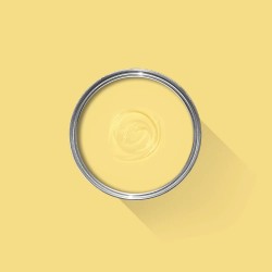 Paint Sherbert Lemon 9914 FARROW & BALL