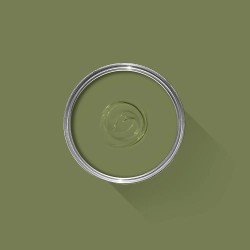 Peinture Sap Green W56 FARROW & BALL