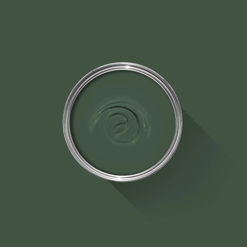 Paint Duck Green W55 FARROW & BALL