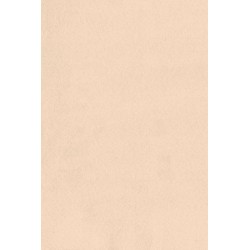 Papier peint Noble ARTE INTERNATIONAL