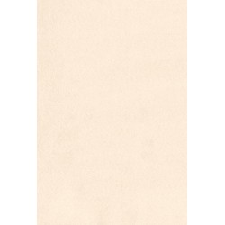 Papier peint Noble ARTE INTERNATIONAL