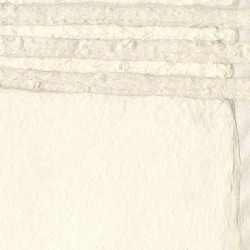 Papier peint Noto ELITIS