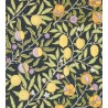 Papier peint Fruit MORRIS&CO