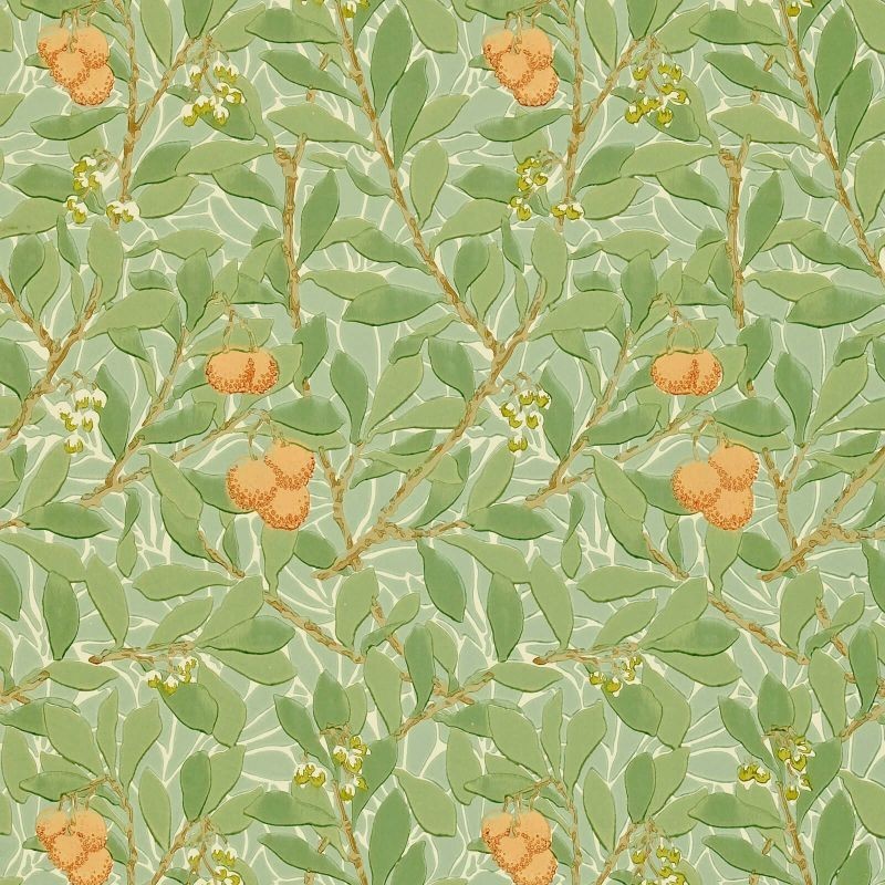 Wallpaper Arbutus MORRIS&CO Wallpaper Arbutus MORRIS&CO