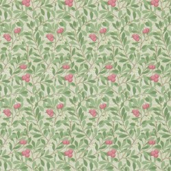 Wallpaper Arbutus MORRIS&CO