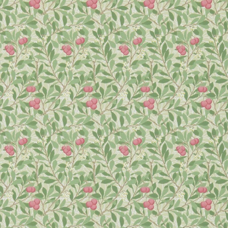 Wallpaper Arbutus MORRIS&CO Wallpaper Arbutus MORRIS&CO