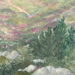 Papier Peint Le Sentier Des Douaniers LES DOMINOTIERS