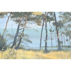 Papier Peint Entre Les Pins, Vinyle LES DOMINOTIERS