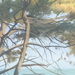 Papier Peint Entre Les Pins LES DOMINOTIERS
