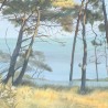 Papier Peint Entre Les Pins LES DOMINOTIERS