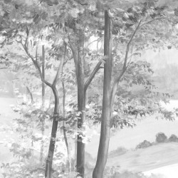 Wallpaper L'Orée Du Bois LES DOMINOTIERS