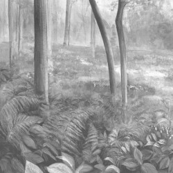 Papier Peint L'Orée Du Bois LES DOMINOTIERS