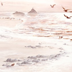 Papier Peint La Baie Du Mont LES DOMINOTIERS