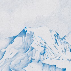 Papier Peint La Vallée Des Bleuets LES DOMINOTIERS