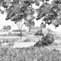 Papier Peint Le Marais Des Aigrettes LES DOMINOTIERS