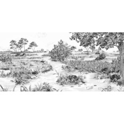 Papier Peint Le Marais Des Aigrettes LES DOMINOTIERS
