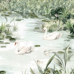 Wallpaper Le Marais Des Aigrettes LES DOMINOTIERS