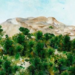 Papier Peint Les Gorges Émeraude LES DOMINOTIERS