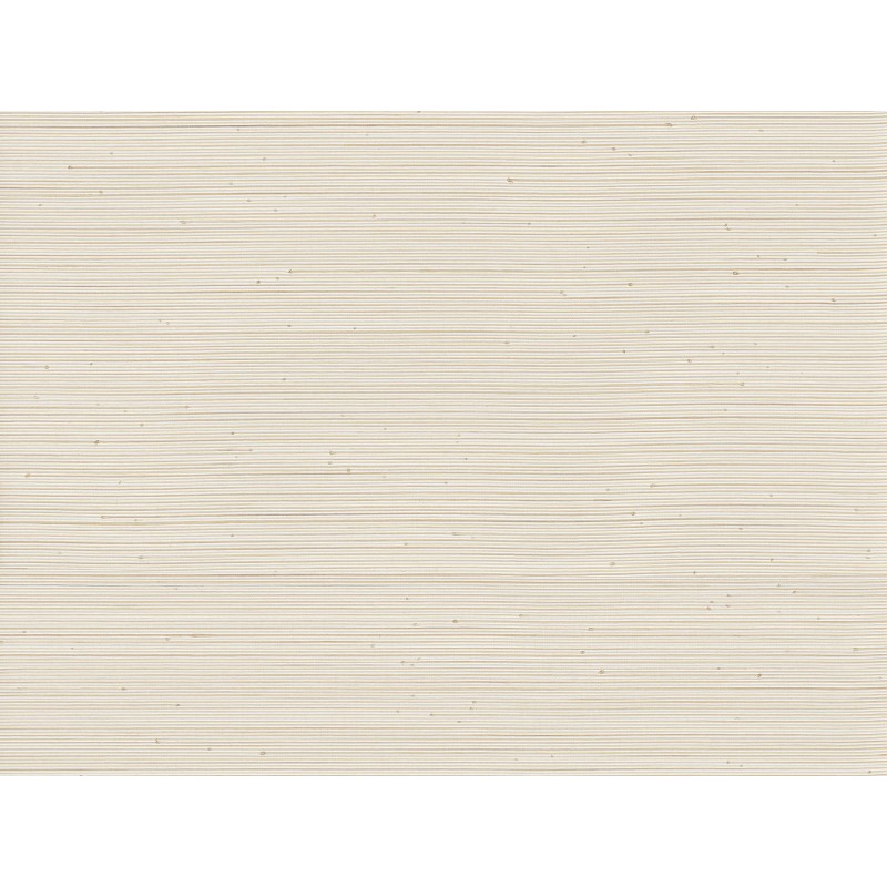Papier Peint Interactive OMEXCO